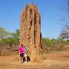 W0720 Termite Mound
